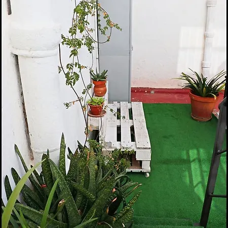 Loft Centro Cadiz
