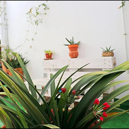 Loft Centro * Cadiz